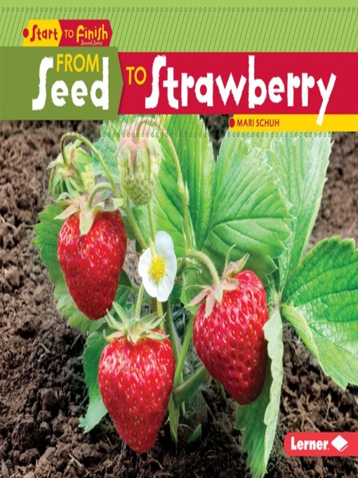 Title details for From Seed to Strawberry by Mari Schuh - Wait list